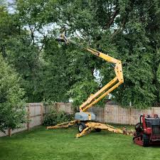 Best Tree Preservation Services  in Glade Spring, VA
