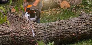Best Lawn Mowing  in Glade Spring, VA