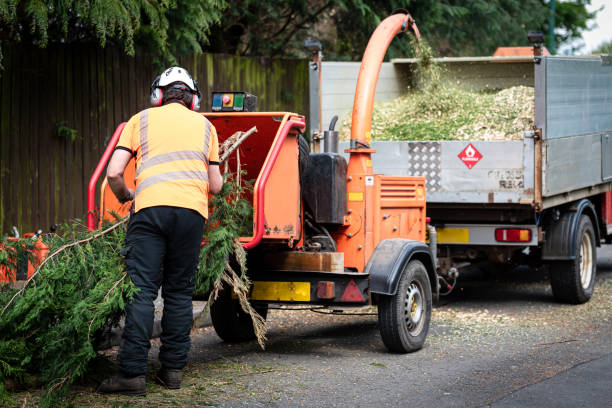 Best Lawn Drainage Solutions  in Glade Spring, VA