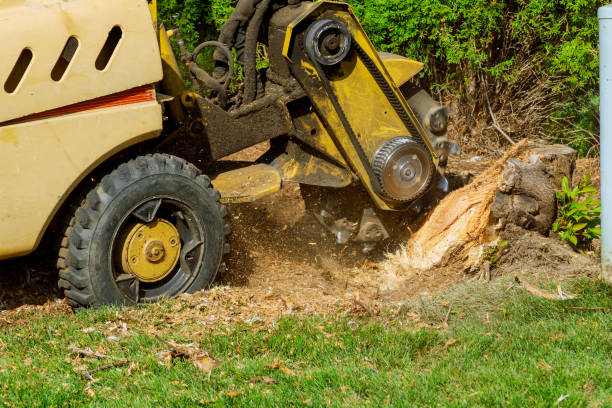 Best Commercial Tree Services  in Glade Spring, VA