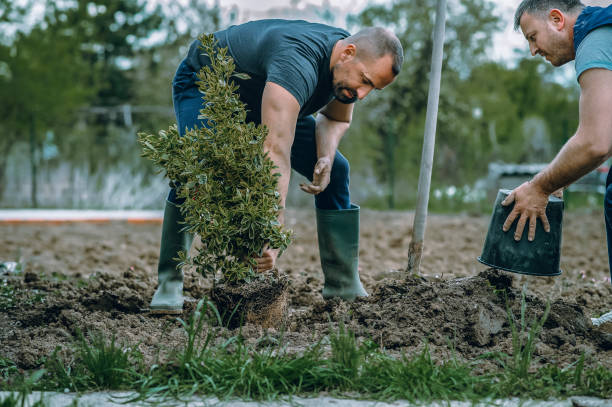 Best Weed Control  in Glade Spring, VA