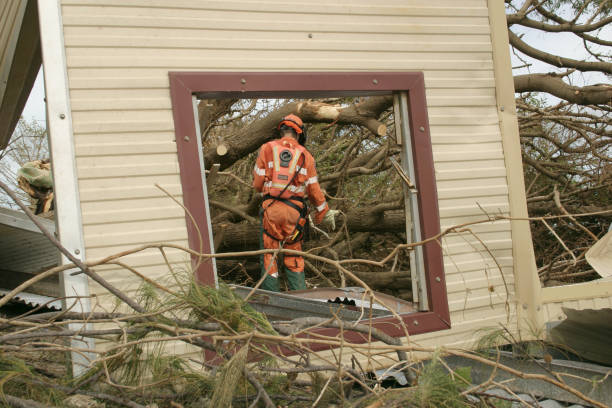 How Our Tree Care Process Works  in  Glade Spring, VA