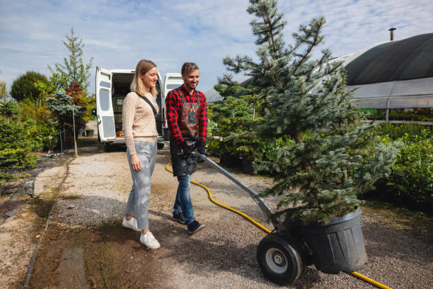 Best Fruit Tree Pruning  in Glade Spring, VA