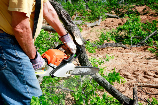 Best Tree and Shrub Care  in Glade Spring, VA